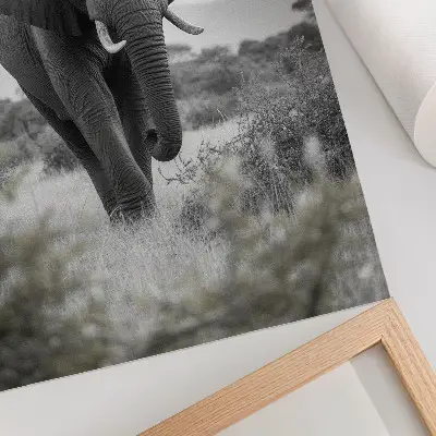 Póster con colores saturados gran elefante con fondo natural