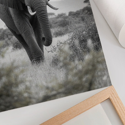 Póster con colores saturados Un gran elefante con un fondo natural.