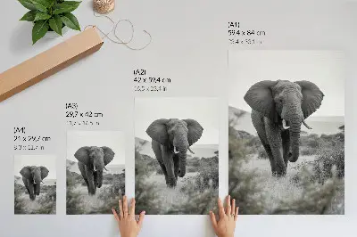 Póster con colores saturados gran elefante con fondo natural