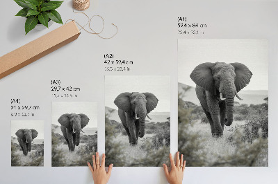 Póster con colores saturados Un gran elefante con un fondo natural.