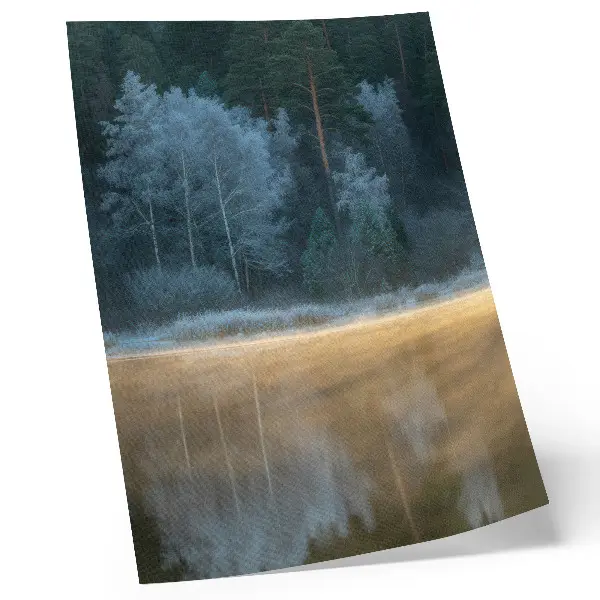 Póster un bosque silencioso sobre la superficie del agua con aura mística
