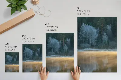 Póster un bosque silencioso sobre la superficie del agua con aura mística