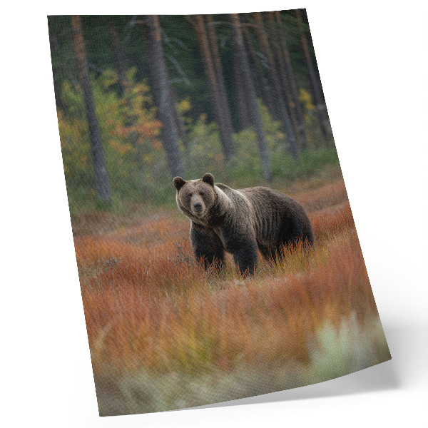 Lienzo decorativo moderno oso en el bosque otoñal que transmite naturalidad y paz