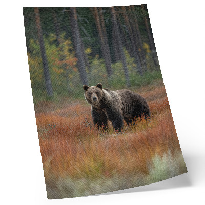 Lienzo decorativo moderno oso en el bosque otoñal que transmite naturalidad y paz