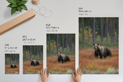 Lienzo decorativo moderno oso en el bosque otoñal que transmite naturalidad y paz
