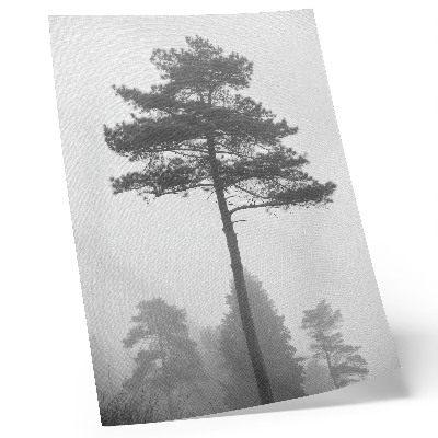 Póster Árbol blanco y negro en la niebla, silencio único