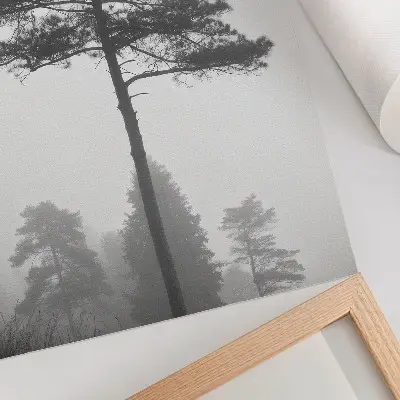 Póster árbol blanco y negro en la niebla con diseño de silencio