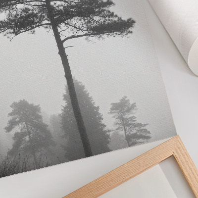 Póster Árbol blanco y negro en la niebla, silencio único