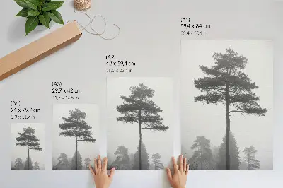 Póster árbol blanco y negro en la niebla con diseño de silencio