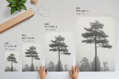 Póster Árbol blanco y negro en la niebla, silencio único
