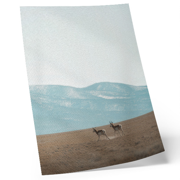Póster con colores saturados Antílopes con las montañas de fondo, un espacio tranquilo.