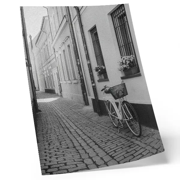 Póster calle con edificios de apartamentos, flores y bicicleta en blanco y negro