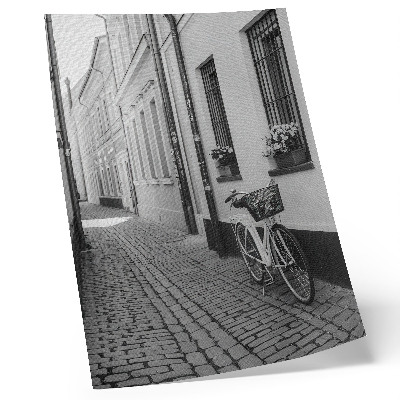 Póster Calle, edificios de apartamentos, flores, bicicleta, blanco y negro
