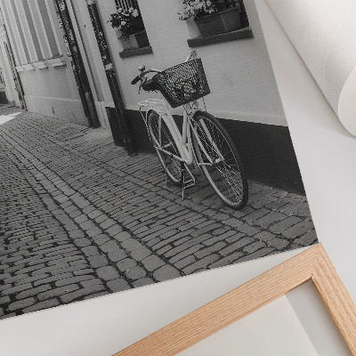 Póster Calle, edificios de apartamentos, flores, bicicleta, blanco y negro