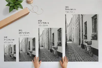 Póster calle con edificios de apartamentos, flores y bicicleta en blanco y negro