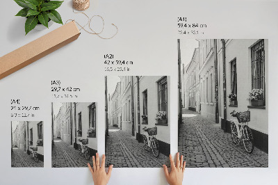 Póster Calle, edificios de apartamentos, flores, bicicleta, blanco y negro