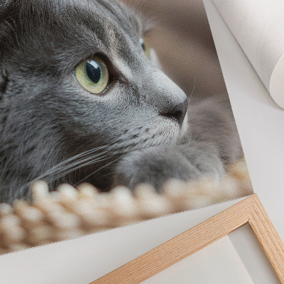 Lámina artística de alta calidad gato gris con ojos verdes en primer plano