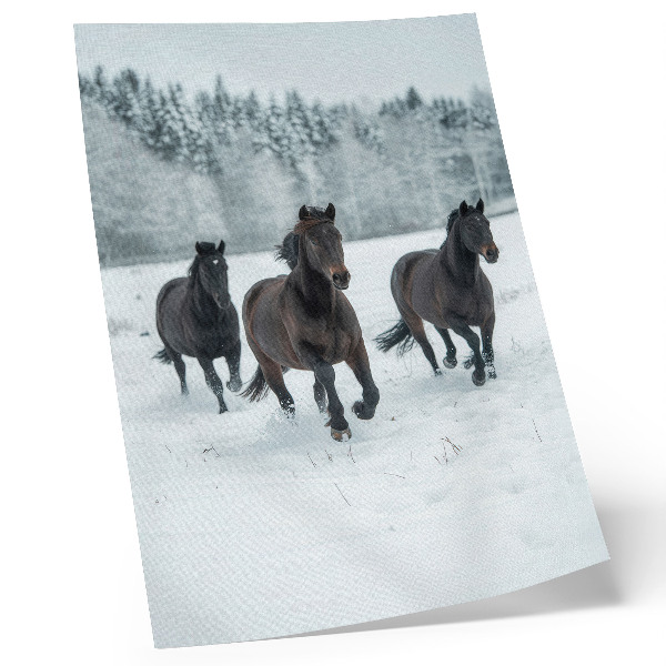 Póster de caballos negros en movimiento con colores saturados sobre fondo nevado