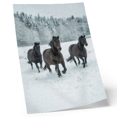 Póster de caballos negros en movimiento con colores saturados sobre fondo nevado
