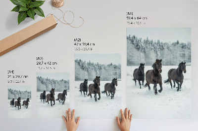 Póster de caballos negros en movimiento con colores saturados sobre fondo nevado