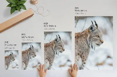 Lienzo decorativo moderno paisaje de las montañas Rysy en invierno con colores naturales y armonía