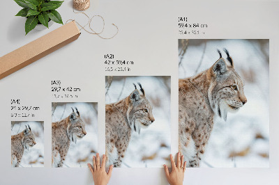 Lienzo decorativo moderno Rysy en invierno, hermosa naturaleza, colores naturales, armonía.