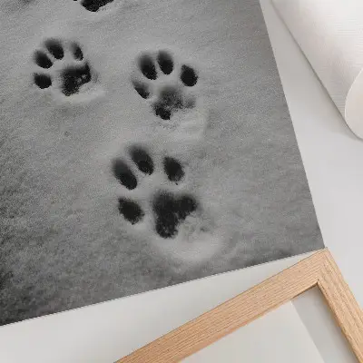 Póster con colores saturados huellas de patas en la nieve blanca con un toque de misterio