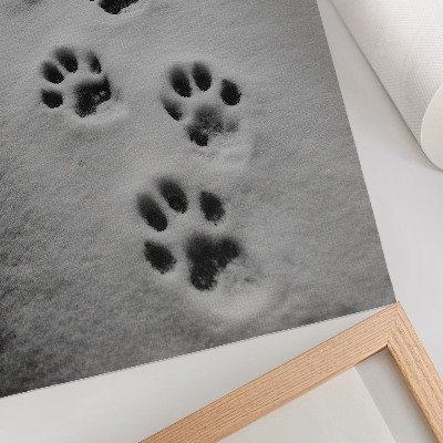 Póster con colores saturados Huellas de patas en la nieve blanca: un toque de misterio.
