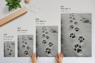Póster con colores saturados Huellas de patas en la nieve blanca: un toque de misterio.