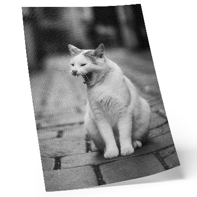 Póster de gato adorable en una calle empedrada con estética en blanco y negro