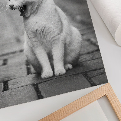 Póster de gato adorable en una calle empedrada con estética en blanco y negro