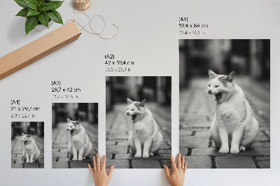 Póster de gato adorable en una calle empedrada con estética en blanco y negro