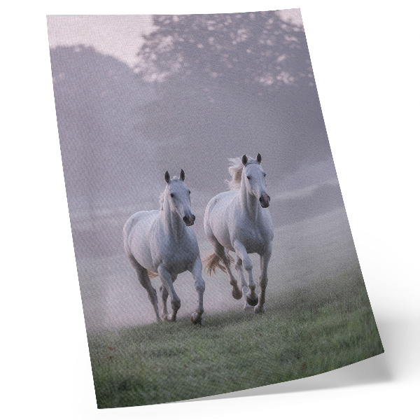 Lienzo decorativo moderno con caballos blancos en la niebla matutina dentro de un entorno natural