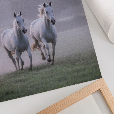 Lienzo decorativo moderno con caballos blancos en la niebla matutina dentro de un entorno natural