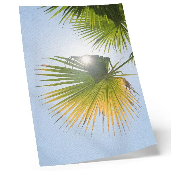 Póster hojas de palmera sobre fondo azul con luz del sol