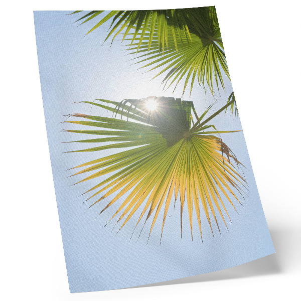 Póster Hojas de palmera sobre fondo azul luz del sol