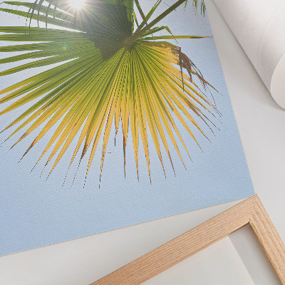 Póster Hojas de palmera sobre fondo azul luz del sol