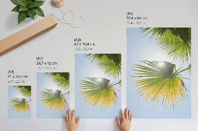 Póster hojas de palmera sobre fondo azul con luz del sol
