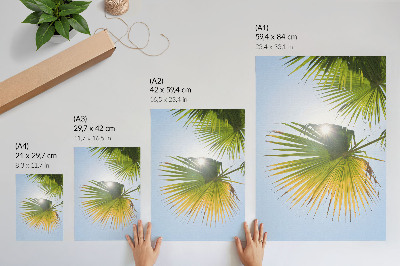 Póster Hojas de palmera sobre fondo azul luz del sol