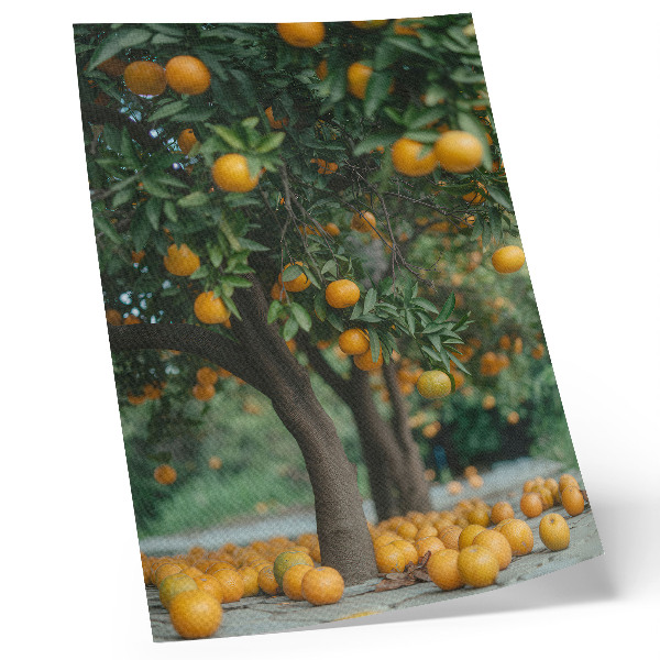 Lienzo decorativo moderno Jugosas naranjas en un árbol en un huerto verde.