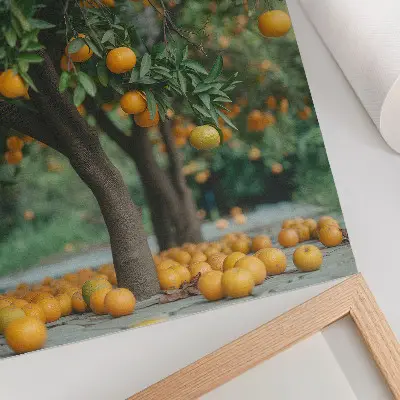 Lienzo decorativo moderno con diseño de jugosas naranjas en un huerto verde