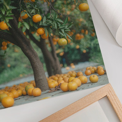 Lienzo decorativo moderno Jugosas naranjas en un árbol en un huerto verde.