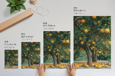 Lienzo decorativo moderno Jugosas naranjas en un árbol en un huerto verde.