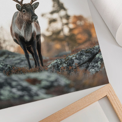 Lienzo decorativo moderno con ciervos en un paisaje otoñal de rocas y árboles