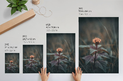 Póster Una planta con una flor colorida sobre un fondo verde.