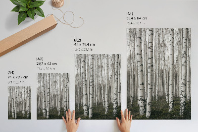 Póster Bosque de abedules en tonos blancos y negros