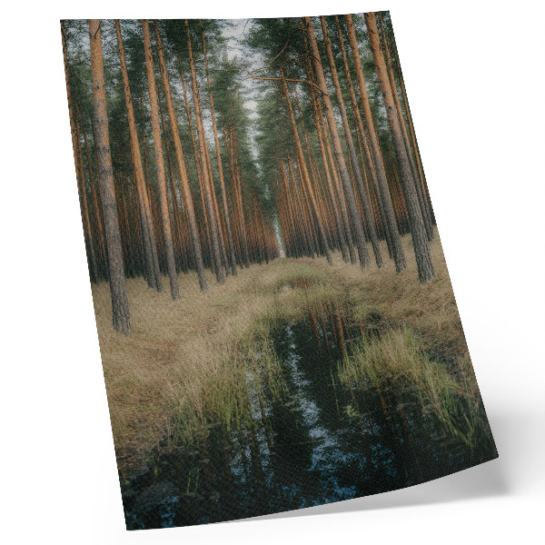Lienzo decorativo moderno Sencillo paisaje forestal, bosque alto, simetría