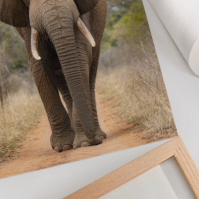 Lienzo decorativo moderno elefante en un sendero en un paisaje africano
