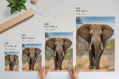 Lienzo decorativo moderno elefante en un sendero en un paisaje africano
