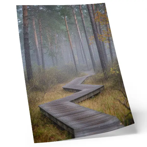 Póster de sendero de madera entre árboles en la niebla con colores saturados